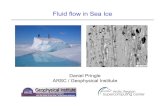 Fluid flow in Sea Iceseaice.alaska.edu/gi/publications/pringle/06P_FluidFlowSeaIce.pdf · Fluid flow in Sea Ice Daniel Pringle ARSC / Geophysical Institute. Outline of talk Sea ice
