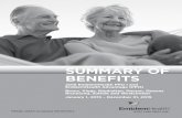 summary of benefits - EmblemHealth/media/Files/PDF/Medicare/2015_Medicare... · summary of benefits 2015 emblemHealth PPo i and emblemHealth advantage (PPo) bronx, Kings, manhattan,