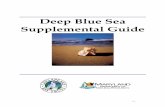 Deep Blue Sea supplemental guide - Department of …dnr.maryland.gov/wildlife/Documents/GUW_DeepBlueSea.pdf · Deep Blue Sea Supplemental Guide - 2 - ... Atlantic Ocean The name,