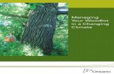 Managing Your Woodlot in a Changing Climate · Your Woodlot in a Changing Climate ... These changes may affect the ... subtle changes in forest composition and distribution are determined