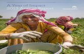 A Year of Impact Annual Report - TechnoServe · Our 2013 Annual Report demonstrates our initial progress toward ... worked to create solutions to these issues by creating sustainable