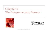 Chapter 5 The Integumentary Systemapedu.weebly.com/uploads/1/6/6/3/16632618/the_integumentary_sys… · Chapter 5 The Integumentary System. ... diagnosis and treatment of disorders