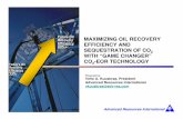 MAXIMIZING OIL RECOVERY EFFICIENCY AND …science.uwaterloo.ca/~mauriced/earth691-duss/CO2_Presentations on... · MAXIMIZING OIL RECOVERY EFFICIENCY AND ... Gas Plant Val Verde ...