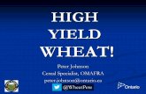 HIGH YIELD WHEAT! - .HIGH YIELD Peter Johnson Cereal Specialist, OMAFRA peter.johnson@