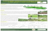 Smallholder Rubber Agroforestry ... - vtechworks.lib.vt.edu · SUSTAINABILITY DESCRIPTION Smallholder Rubber Agroforestry System in Mindanao, Philippines; A Village Approach to Climate