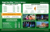 Magic Your Way Tickets & Options - Disney Travel … · Magic Your Way ® Tickets & Options Included with your Theme Park admission. 1-DAY VALUE SEASON Theme Park Tickets & Options