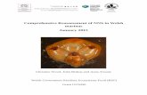 Comprehensive Reassessment of NNS in Welsh …plymsea.ac.uk/7138/1/Comprehensive Reassessment of NNS in Welsh... · Comprehensive Reassessment of NNS in Welsh marinas ... Discussion