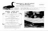 (PHOTO: STEPHEN DAVIES) - birdswa.iinet.net.aubirdswa.iinet.net.au/WABN/WABN #030 1984 Jun.pdf · we may also look for Shrike-tits in the powder-bark wandoo at Majestic Heights, Toodyay.