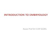 INTRODUCTION TO EMBRYOLOGY - İ.Ü. …194.27.141.99/.../emine-elif-guzel/Introduction-to-Embryology.pdf · INTRODUCTION TO EMBRYOLOGY Assoc Prof Dr E.Elif GÜZEL . Definition of
