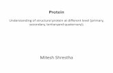Protein Understanding of structural protein at different ... · Protein Understanding of structural protein at different level (primary, secondary, tertiaryand quaternary); Mitesh