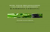 HOW YOUR ORGANISATION - Cultural Intelligencedavidcliveprice.com/wp-content/uploads/2018/01/Bamboo-Strong... · THE CROSS-CULTURAL DOCTOR . HOW YOUR ORGANISATION . CAN GROW BY BECOMING