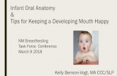 Benson-Vogt Infant Oral Anatomy & Tips for Keeping a ... · Temporalis Masseter Medial Pterygoid Lateral Pterygoid-jaw stabilization ... Revista de Saúde Pública, 47(1), 37-43.