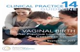 VAGINAL BIRTH - Ontario Midwives full... · 2 AOM Clinical Practice Guideline 14 AUTHORS Suzannah Bennett, MHSc Kirsty Bourret, RM, MHSc Anna Meuser, MPH CONTRIBUTORS VBAC CPG Working