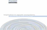 Respiration in Aquatic Ecosystems - UV 2005.pdf · 1 Respiration in aquatic ecosystems: ... respiration is the process whereby organisms ... At the cellular and organism level, ...