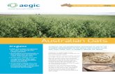 Australian Grain Note - Aegic · Australian Grain Note: Oats ... varieties provide greater stability for on-farm production and security of supply for international markets.