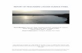 REPORT OF PESCADERO LAGOON SCIENCE PANEL report final.pdf · Panel Collaborators: Christy M. Bowles, ... Executive Summary 5 ... up-river or into other parts of the lagoon.