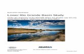 Lower Rio Grande Basin Study Executive Summary and water supply purposes. The Lower Rio Grande River Basin lies within the much larger Rio Grande Basin, which extends from southern