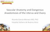 Vascular Anatomy and Dangerous Anastomosis of the Uterus ...€¦ · Vascular Anatomy and Dangerous Anastomosis of the Uterus and Ovary Ricardo Garcia-Monaco MD, PhD Hospital Italiano