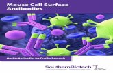 Mouse Cell Surface Antibodies - SouthernBiotech Cell Surface... · Mouse Cell Surface Antibodies Specificity Clone Cat. No. Purified LE/AF Biotin Pacific Blue™ Fluorescein Alexa