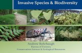 Invasive Species Panel, Matt Keefer: Terrestrial … · oNative plant support of butterflies, moths & ... –Monarch butterflies & black swallow-wort ... Slide 1 Author: