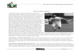 How to Run Faster - Pro Series Baseball Training - …€¦ · How to Run Faster The first step to running faster is to improve mechanics. Regardless of how much you run, how ...
