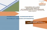 FORMATIVE ASSESSMENT WORLD VISION ETHIOPIA Assessment on... · Formative Assessment, World Vision Ethiopia ... Humbo, Abaya, Boset, Kedida Gamela, and Enemore woredas Ataye Hospital