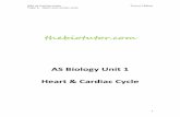 AS Biology Unit 1 Heart & Cardiac Cycle - thebiotutor · AQA as revision notes Trevor Chilton Topic 4: Heart and cardiac cycle 1 thebiotutor.com AS Biology Unit 1 Heart & Cardiac