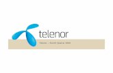 Telenor – Fourth Quarter 2006 · for or otherwise acquire securities in any company within the Telenor Group. ... profit figures, outlook, strategies and objectives. ... pricing