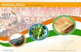 Unexploited natural - IBEF · • Reduce jhum cultivation and ... Manipur, Meghalaya, Mizoram, Nagaland and Tripura ... implementation of the centrally sponsored pulse production
