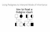 Using Pedigrees to interpret Mode of Inheritanceaaitken.weebly.com/uploads/5/5/7/4/55745595/using_pedigrees_to... · Interpreting a Pedigree •The main question asked when looking