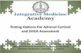 Testing Options For Adrenal Cortisol and DHEA … · YOUR LOGO Lecture Overview •What are the best tests for adrenal cortisol and DHEA assessment? •How to interpret a salivary