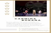 CARMINA BURANA Fascinate audiences with a … · CARMINA BURANA Fascinate audiences with a timeless tale of the ever- changing tides of fate. The drama intensifies through multiple