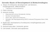 Genetic Basis of Development & Biotechnologiesfaculty.sdmiramar.edu/bhaidar/Bio 107 Documents/Lecture PowerPoints... · Genetic Basis of Development & Biotechnologies . 1. ... From