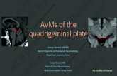 G.Rodesch-AVMs of the tectal plate - abcwin-seminar.com · Naidich & Duvernoy Superficial veins of colliculi: lessnumerousthan arteries Mainly occurat peripheryof colliculi and form-superior