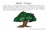 Wish Trees - Book Units Teacher · Wish Trees A wish tree is an ... species, position, or appearance. People use the tree as a place for wishes and offerings. ... ©Gay Miller @ Book