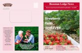 Strawberry Fields - Amazon S3 · Strawberry Fields FOREVER . 2 Three Areas of Focus for etter Home Safety “The home to everyone is to him his castle and fortress, as well for his