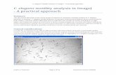 C. elegans motility analysis in ImageJ - A practical phage.dk/plugins/download/  · C. elegans motility