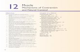 Mechanisms of Contraction and Neural Control · Mechanisms of Contraction and Neural Control 12 ... most other cells in the body, skeletal muscle fibers are multinu-cleate—that