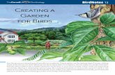 Creating a Garden for Birds - FeederWatch - Count …feederwatch.org/wp-content/uploads/2013/10/BirdNote13-Creating-a... · Creating a Garden. for Birds. ... You should be able to
