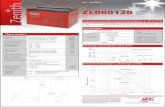 DC250-6 ZL060120 - Batterie italia  · ZL060120 DIVISION OF  REV. 19042010 DC250-6 FULLRIVER DC BATTERIES This information is ...