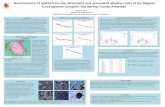 Geochemistry of apatite from the carbonatite and ... · Geochemistry of apatite from the carbonatite and associated alkaline rocks of ... and trace element concentrations were measured