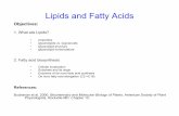 Lipids and Fatty Acids - botany.ubc.ca outlines/Lecture 11 .Lipids and... · Lipids and Fatty Acids Objectives: 1. What are Lipids? • properties • glycerolipids vs. isoprenoids