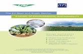 The EU Beet and Sugar Sector - Cibecibebeta.cibe-europe.eu/img/user/file/Brochure CIBE-CEFS Final_05... · Sugar beet’s benefits to biodiversity and wildlife 25 ... technology transfer