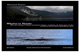 Whales in Fjords - WordPress.com · survey design, preliminary data ... How will unprecedented vessel noise, ship strikes, ... but randomly with respect to known cetacean and seabird
