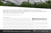 Supplemental LED Lighting Increases Winter Tomato ... · Winter Tomato Production in Central North ... these metrics it is clear that the LED-lit plants were superior in production