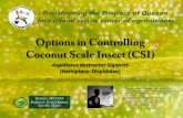 Options in Controlling Coconut Scale Insect (CSI) · Options in Controlling Coconut Scale Insect ... black pepper . Musa spp. banana . ... insect pests like Brontispa longgisima that