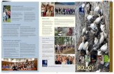 BIOLOGY - Welcome to Biological Sciences at Oxford … · of Biology Admissions Tutors looks carefully at every single ... colleges about who we think should be interviewed. ... biologist.