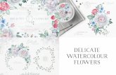 Delicate Watercolour Flowers - thehungryjpeg.com. The Complete Guide - The Delicate... · watercolour floral collection. delicate owers boijoijels . composition pnc watercolor lilies