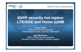 3GPP security hot topics: LTE/SAE and Home (e)NB …docbox.etsi.org/workshop/2009/200901_securityworkshop/nokia... · World Class Standards Outline Some history and background SAE/LTE