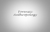 Forensic Anthropology - Humble Independent School District · Forensic Anthropology consist of scientists, detectives, murders and their victims. The Sausage Maker Adolph Luetgert.